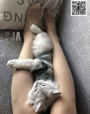 美女不穿衣服软件_DVD在线观看完整版